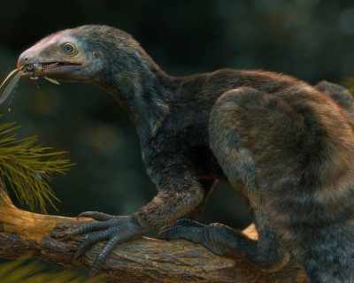 В Бразилия откриха създание „Едуард Ножиците“, живяло преди 230 милиона години